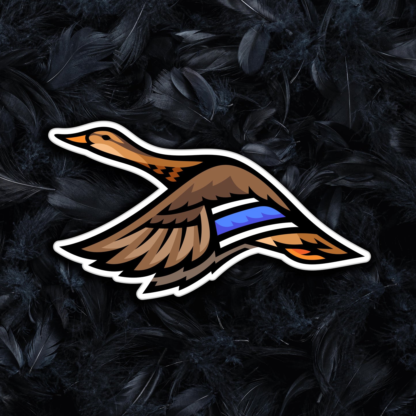 Mallard Duck