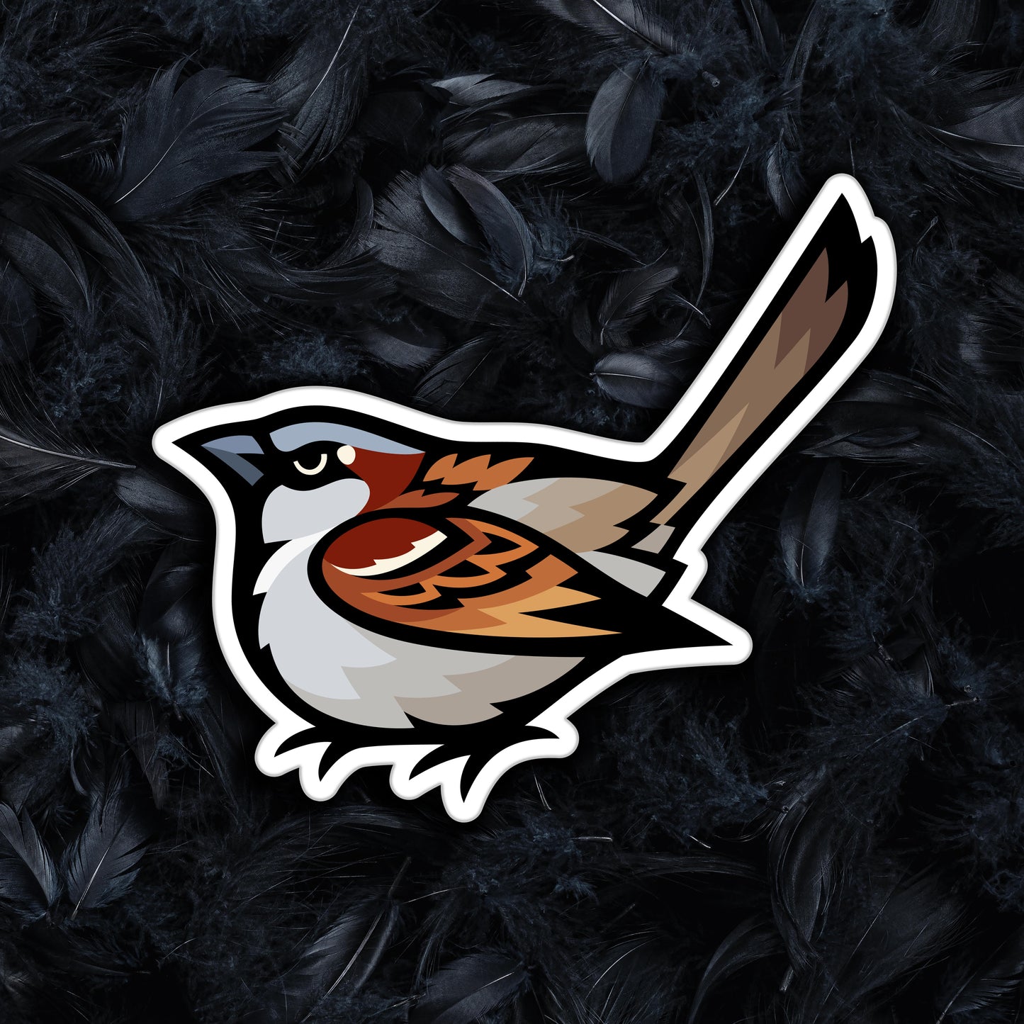 House Sparrow