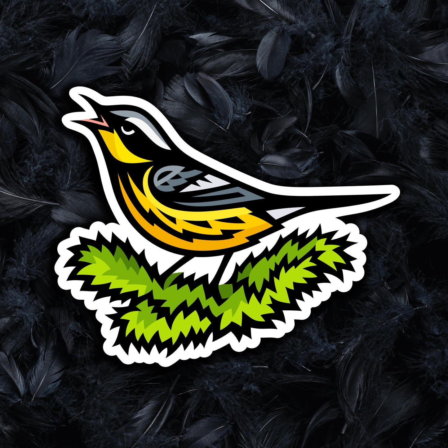Magnolia Warbler