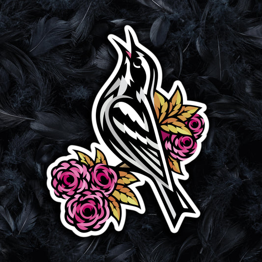 Black-and-white Warbler